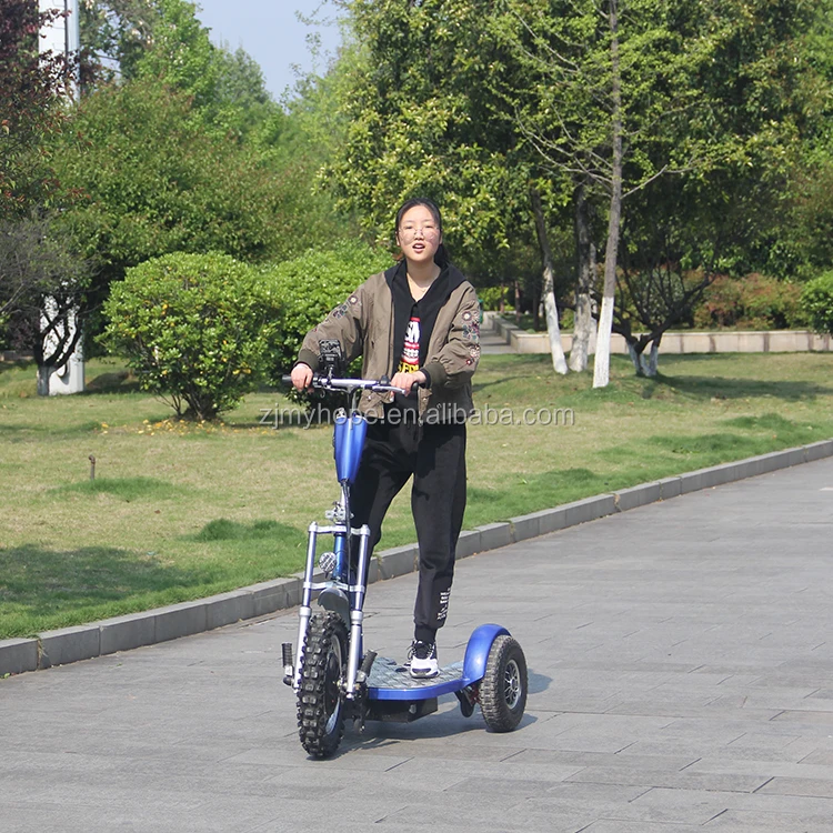 Zappy Three-Wheel Electric Scooter CE Certified 500W Motor Power with Removable Battery Mobility Scooter YXEB-712
