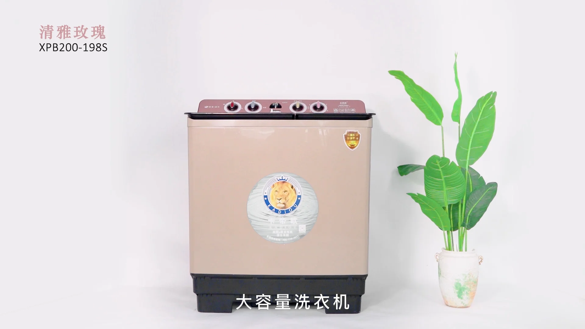 Bucket Washer Woshing Machine Laver 20kg Two Tub Top Load Washing