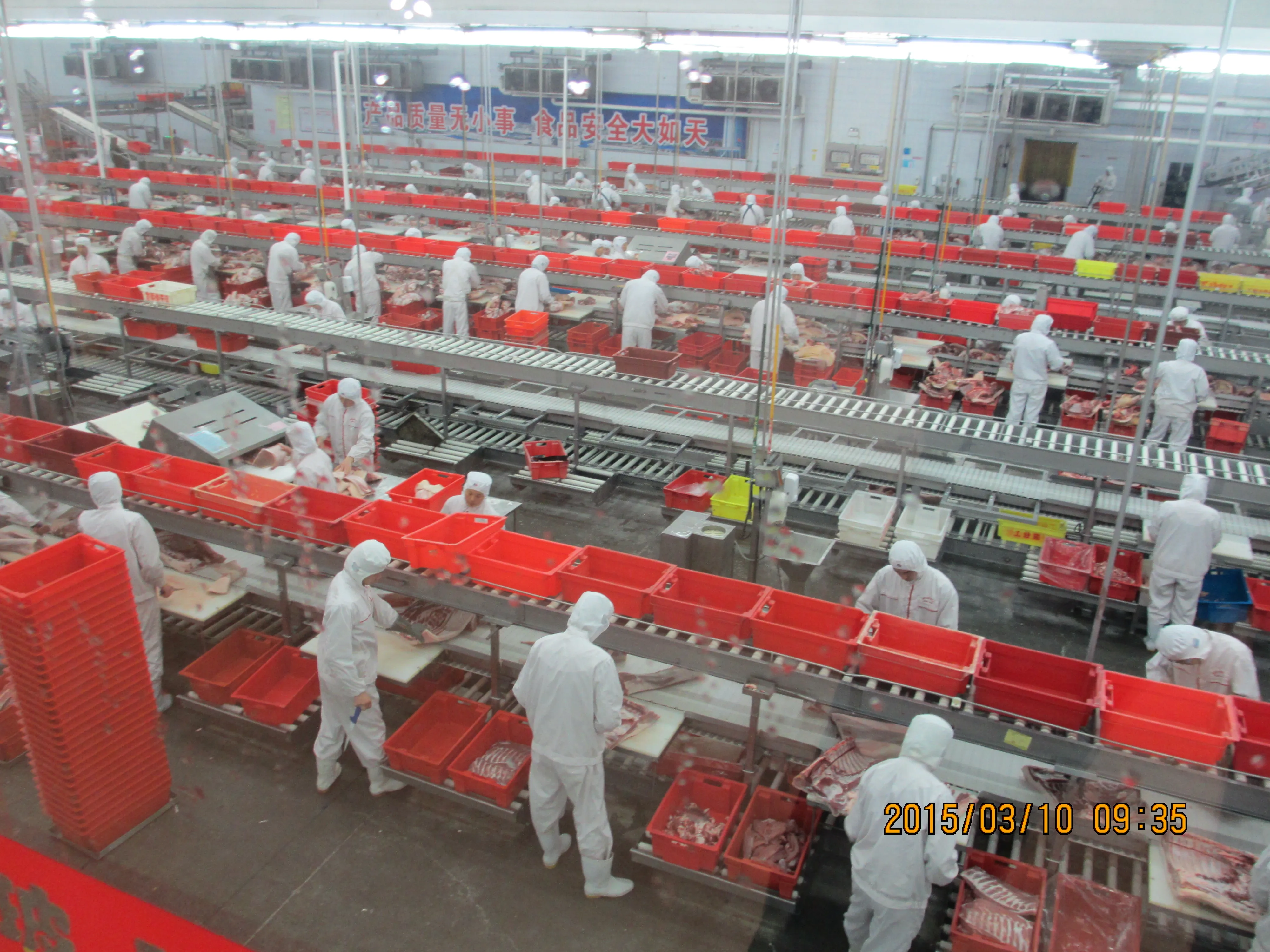 Meat slaughterhouse equipment PVC conveyor belts for cutting and packaging lines