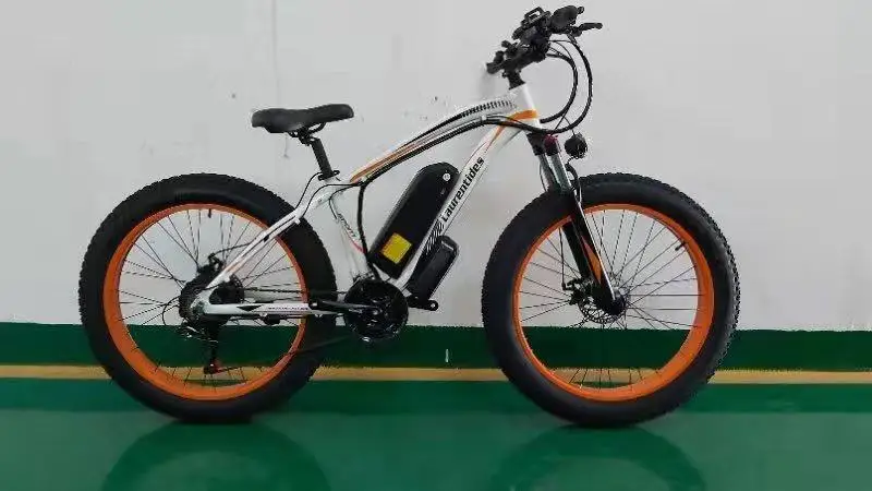 500w 750w 1000w Motor 48v Battery Ebike 