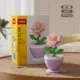 K337-Carnation