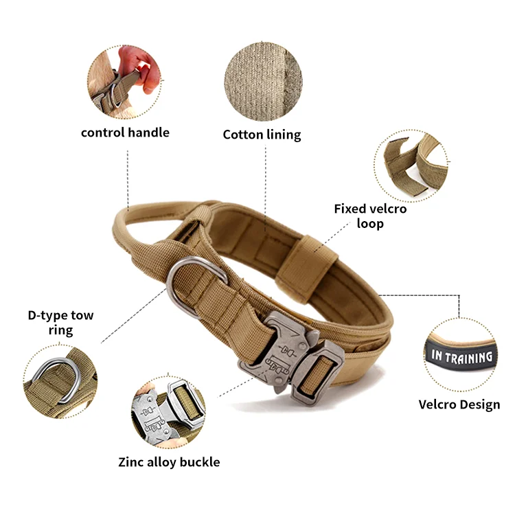 Longlasting 2 Inch Wide Dog Collar,Free Sample Pet Cat Training