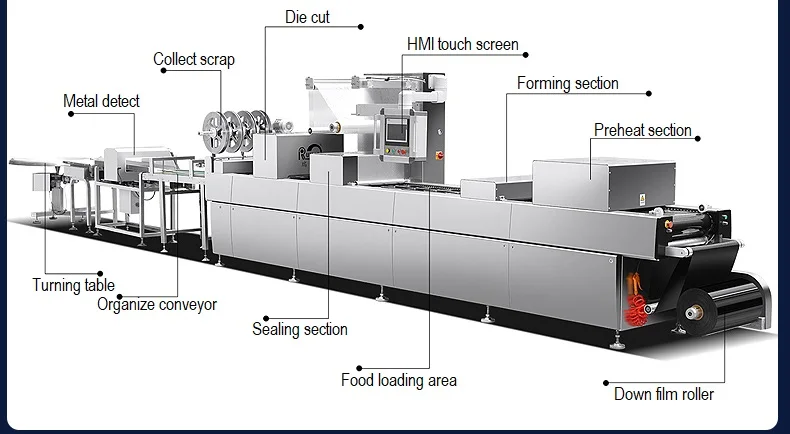 Thawing Equipment, 220 V, CE - detail 14