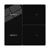 2gang LED Screen switch-Black