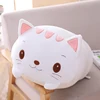 Gatto bianco