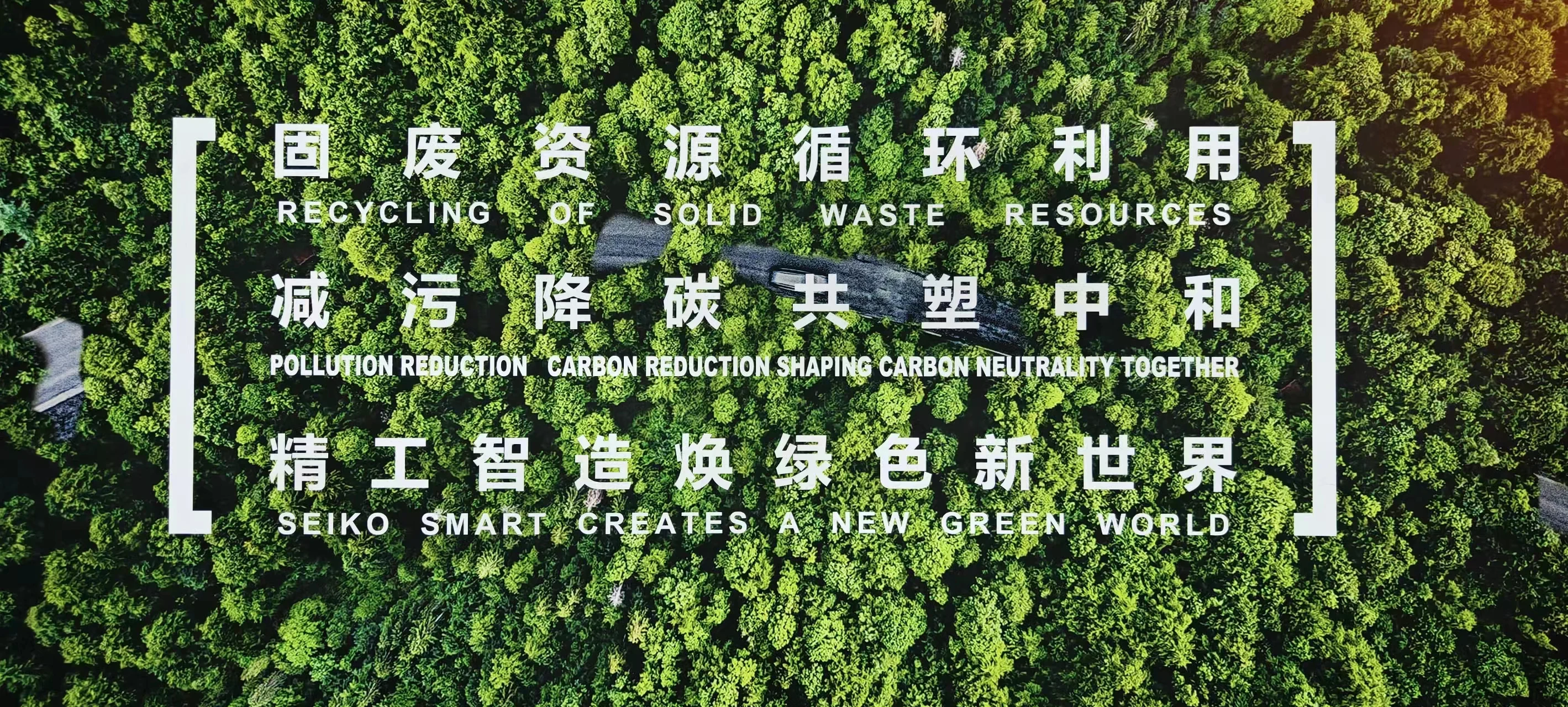 New Wood Sawdust Biomass 12 T/h Wood Pellets Machine Line Wood Pellet