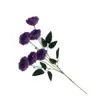 Morado oscuro