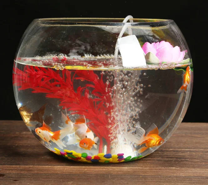 Small Cylinder Glass Fish Tank for Goldfish Aquaculture, OEM