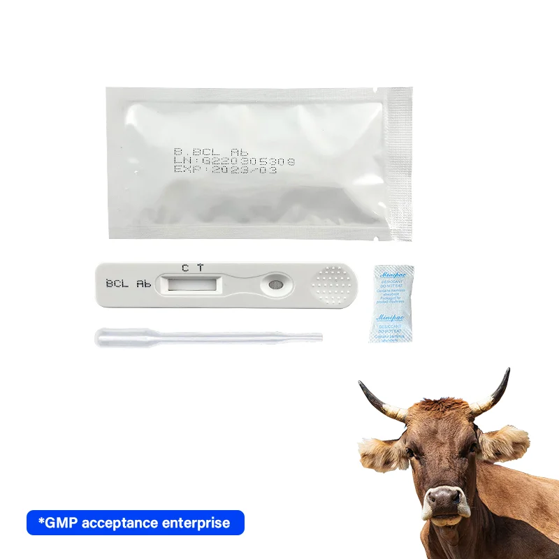 Livestock Bovine Brucellosis Antibody Ab Rapid Test Kit / Strip For