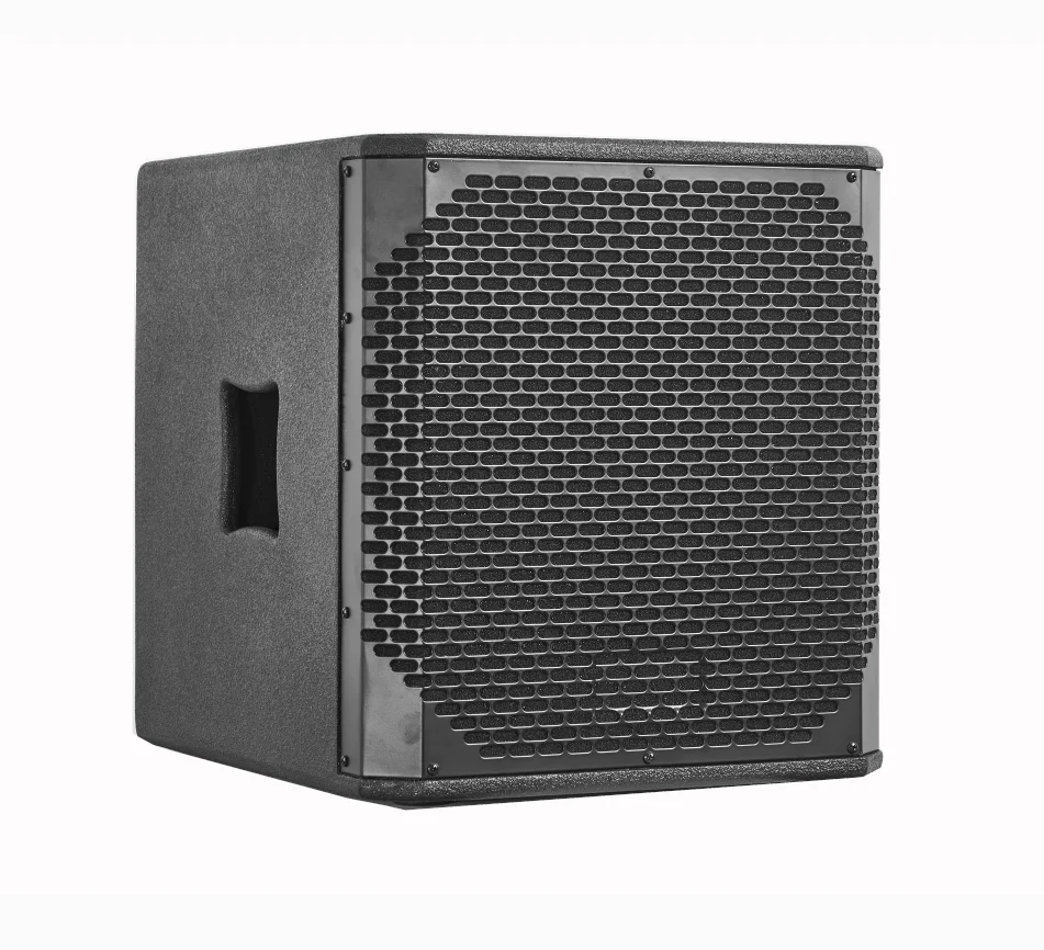12 Inch Active Subwoofer 800W RMS Class AB 8ohm 98dB Professional Audio Equipment for Stage and Outdoor Events