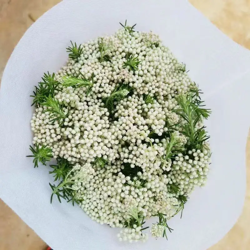 Non Woven Flower/Plant Bag Sleeve factory