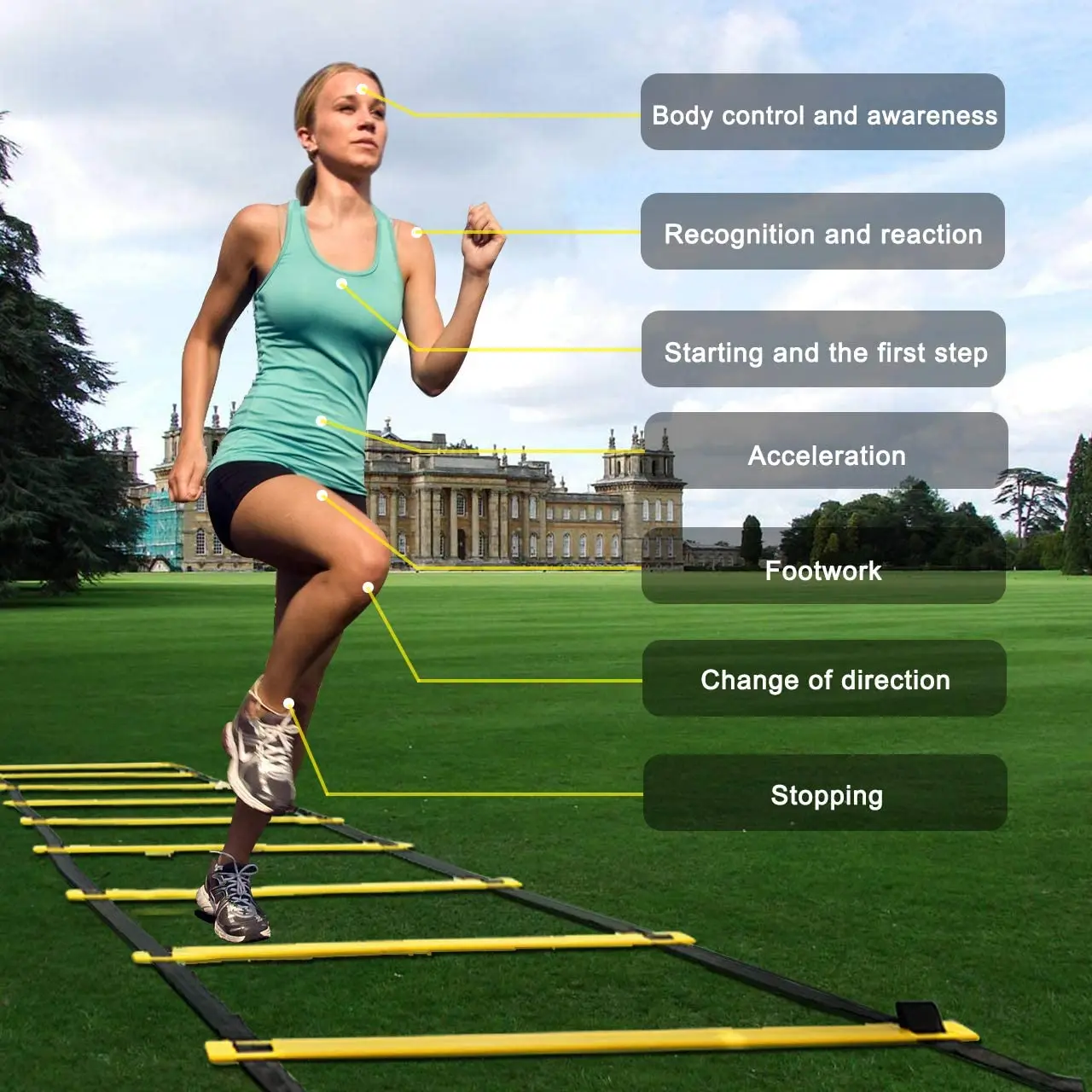 Zjfit Hot Sale Speed Agility Training Set Kit Cones Ladder Fitness