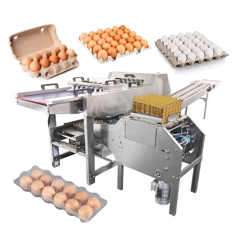 ORME Automated Chicken Egg Pack Machine Paper Pulg Egg Pack Machine Egg Pack Machine