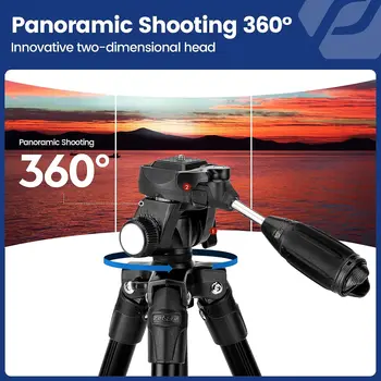 Fotopro 60" Travel Tripod Tilt Head Quick Release Plate Phone Dslr Camera Max Load up 5.5lbs Lightweight Video Tripod detail image
