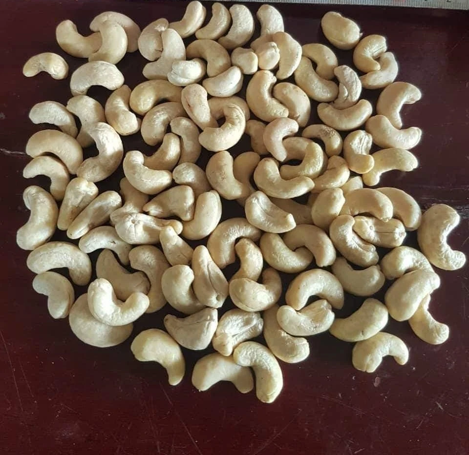 High Quality Low Fat Raw and Fresh Cashew Kernels Whole and Broken Fresh Nut Snack Best Price