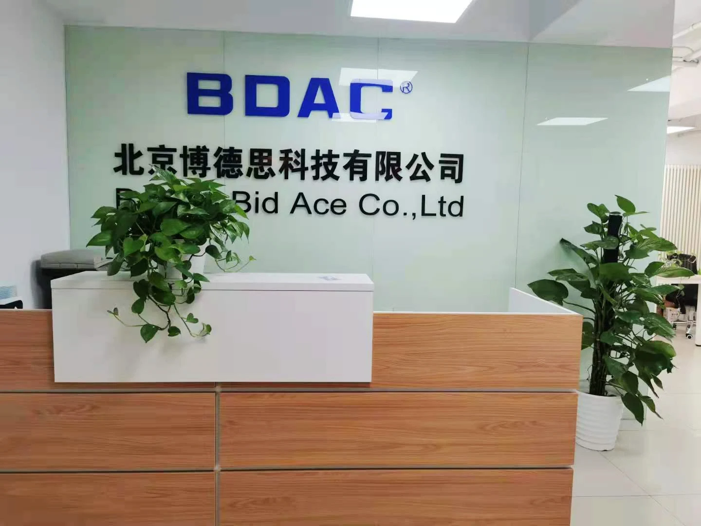 Beijing Bid Ace Co., Ltd. 1
