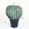Cactus bonsai-h 38cm 25cm