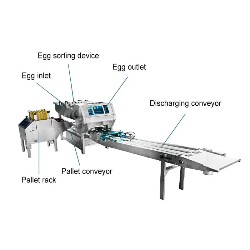ORME Automated Chicken Egg Pack Machine Paper Pulg Egg Pack Machine Egg Pack Machine
