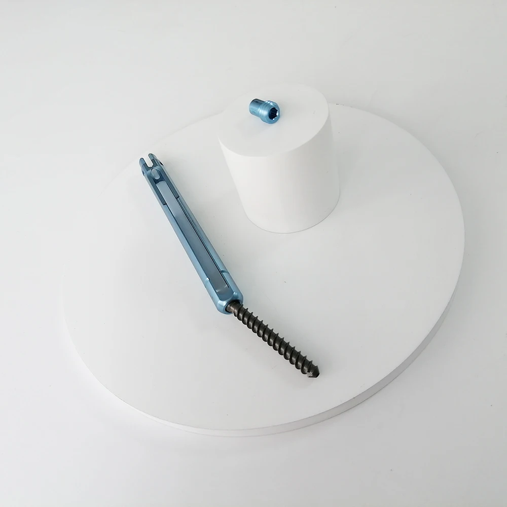 Pedicle Screw 2