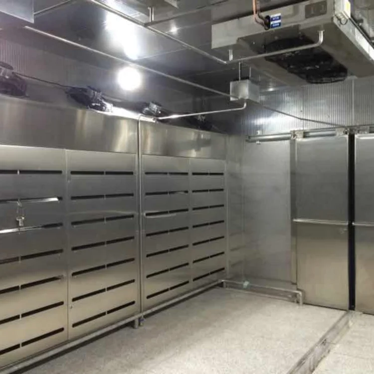 Low temperature and high humidity thawing chamber for controlled meat thawing