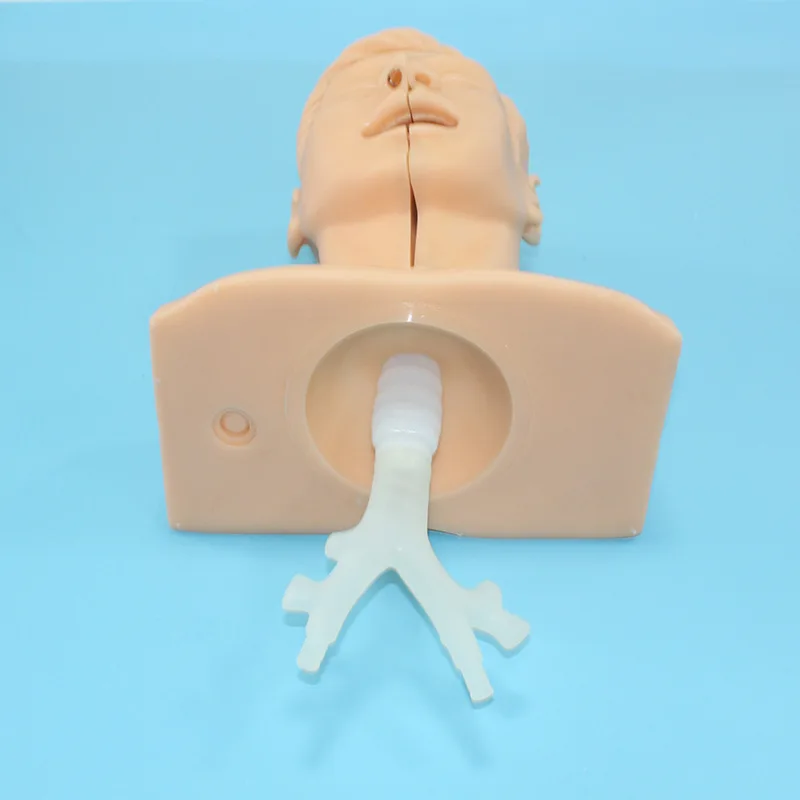 Suction Tube Advanced Training Medical Manikins Medical Used Medical ...