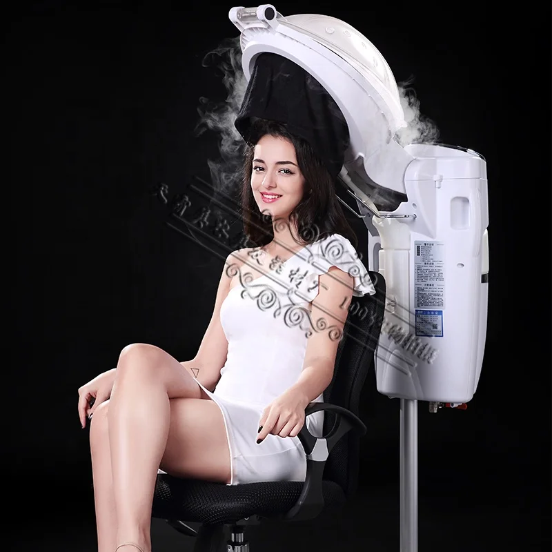 MICRO MIST スチーム加熱促進器 Amazon.com: Salon Hair Steamer, Professional O3 Ozone Micro