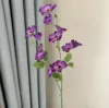Pourpre