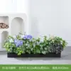 Dragon and Horse Spirit [Suitable for 100cm flower boxes]