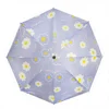 Grappe de marguerites violet clair - pour la pluie et le beau temps