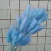 Blu-chiaro