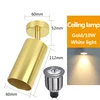 gold Ceiling