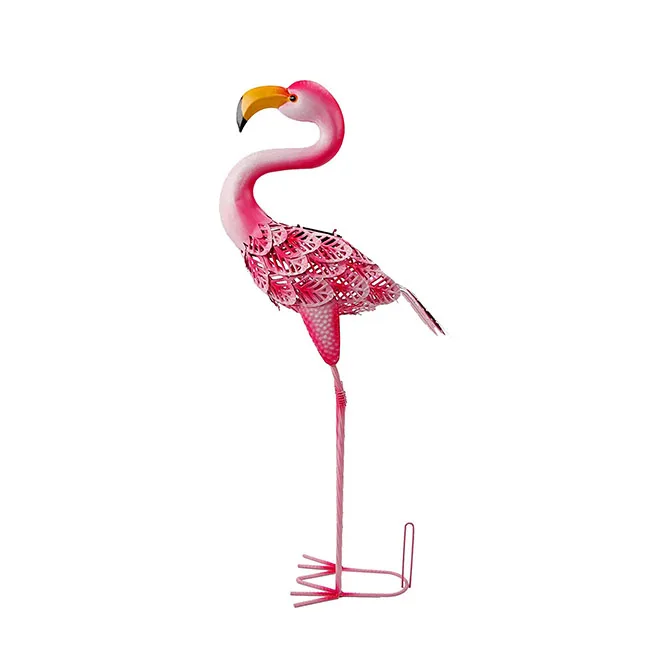   Outdoor Animal Flamingo