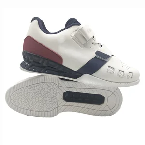 Wholesale Summer Spring & Autumn Gym Fitness Bodybuilding Shoes Squat & Weightlifting Sports Equipment