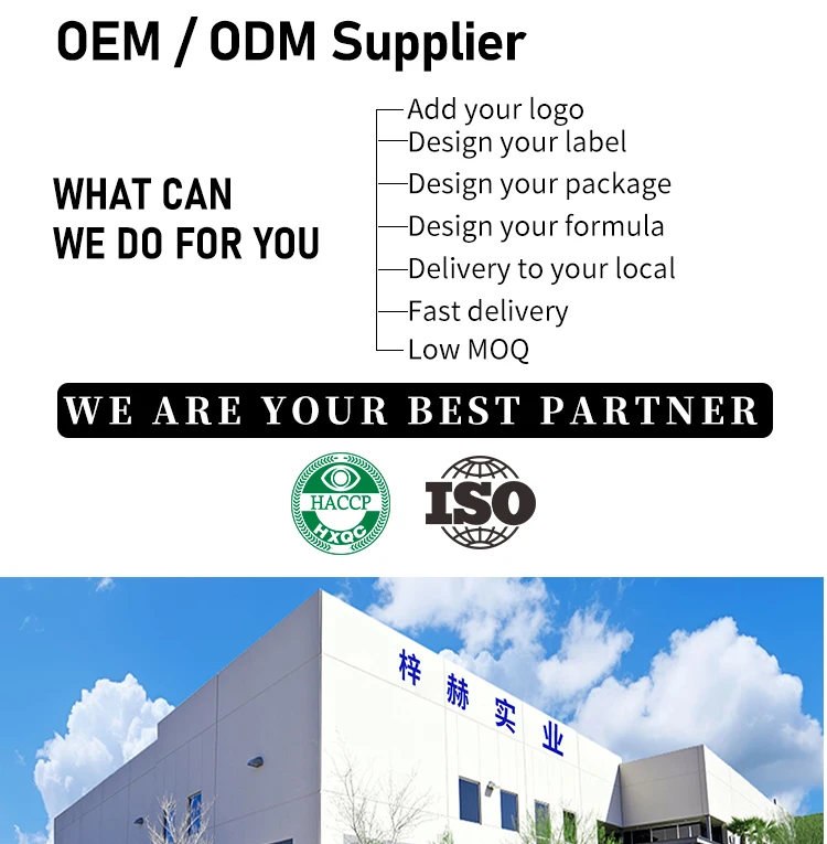 Private Brand Natural Moringa Leaf Instant Coffee Powder Sweet Chocolate Flavor Box Packaging Fat Burning and Detox Effects