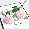 Dark Fragrance Hydrangea Pink