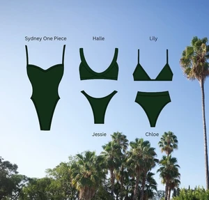 Handmade Sexy Two Piece  Women's Sexy Two Piece  Bikini Bra Suit Ladies Swimwear New Luxury Swimwear