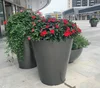 สีดำ