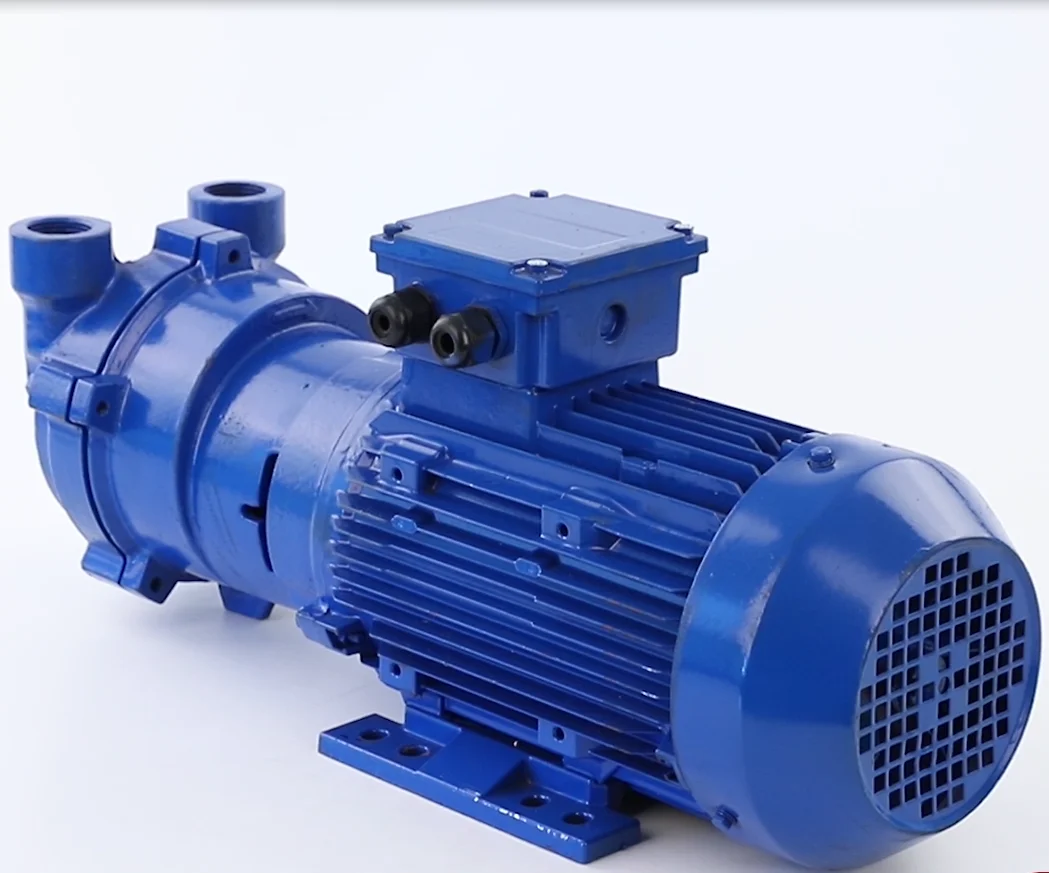 Portable Single Stage 2bv Series Liquid Circulating Water Ring Vacuum