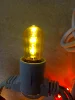 Y