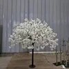 árbol de cerezo en flor 11