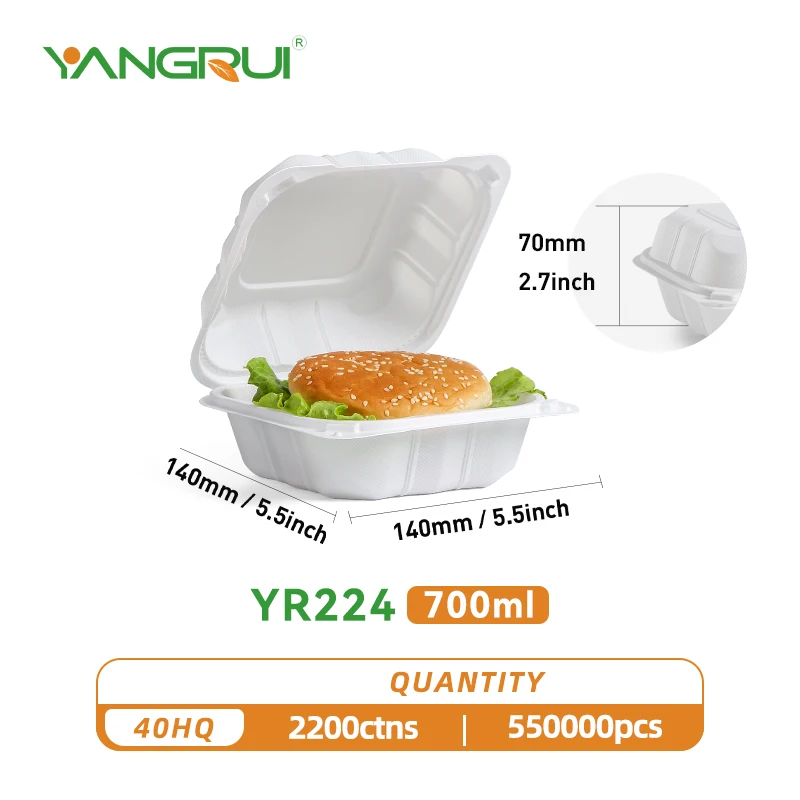 Disposable Lunch Boxes Packaging Boxes Rectangular Pp Plastic Food Grade  Thickened Household Transparent Fast Food Bento Lunch Box Takeaway  Restaurant Packaging Box - Temu