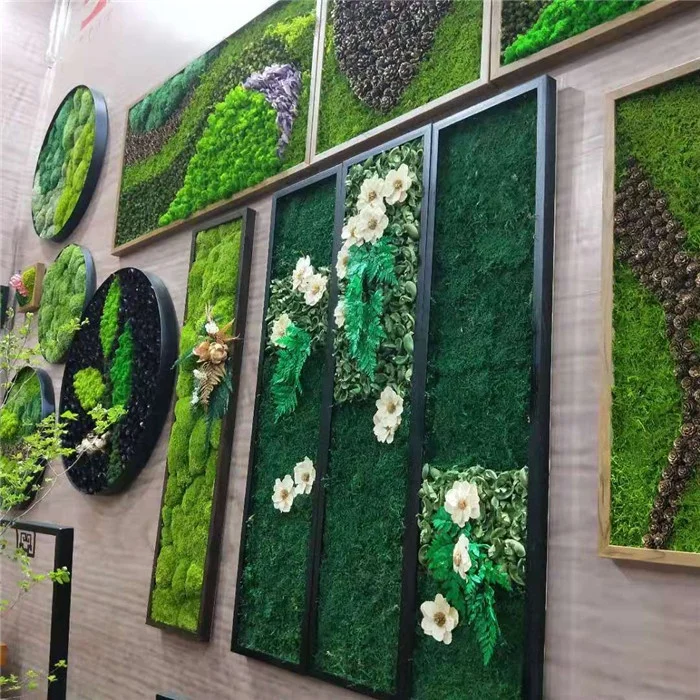 500g Per Box Custom Design Green Indoor Decorative Moss Wall for Coffee  Shop - China Moss and Preserved Moss price