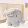 Elefante