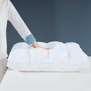 Newtar Machine Washdown Twisting Hotel Soft Domodernther Alternative Pillow Insert Cheap Wholesale Pillow Oreiller En Plume 233T