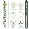 Belleza Nacional y Fragancia Celestial - Modelo E Blanco