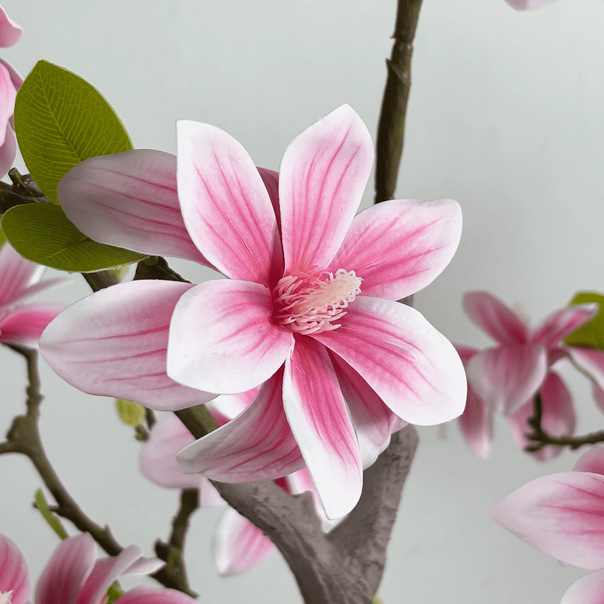 细节图2