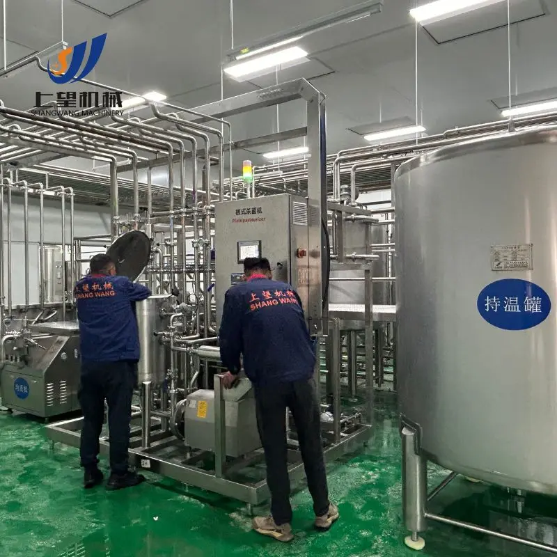 Yogurt Plant Fully Automatic Yogurt Fermentation Pasteurization Maker Machine Complete Small Dairy Greek Yogurt Production Line