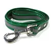reflective dark green