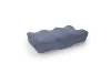 Violet Gris