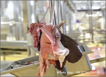 Cow slaughter inspection system cleans red and white internal organs with tripe in washing machine